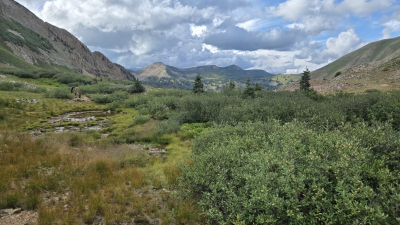 Columbus Basin Trail Review Photo