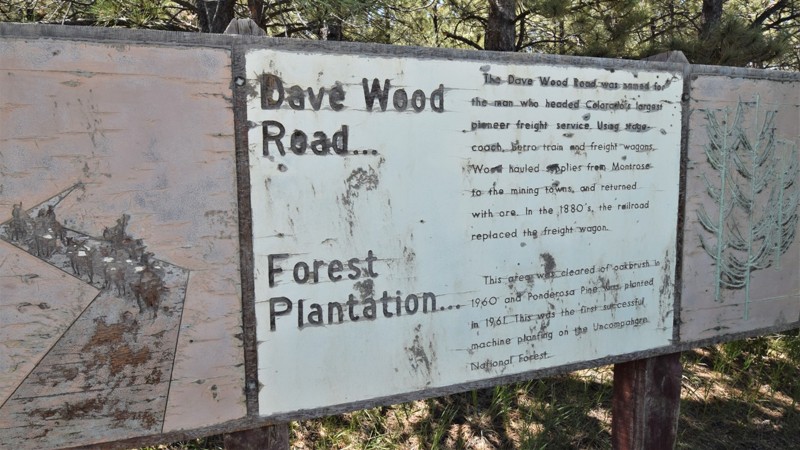 Colorado: Dave Wood Trail Hero Photo