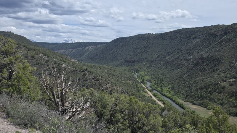 Dave Wood Trail Trail Review Photo