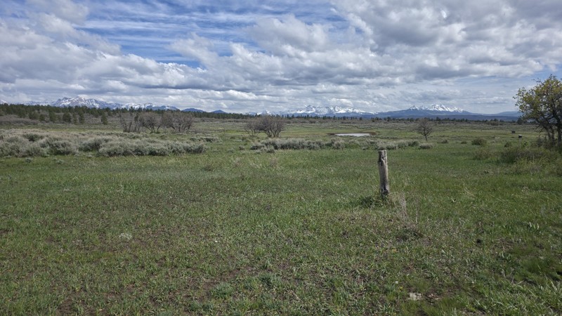 Dave Wood Trail Trail Review Photo