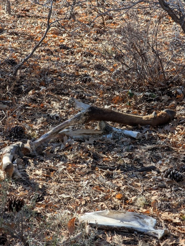 Dolores to Norwood Trail Review Photo