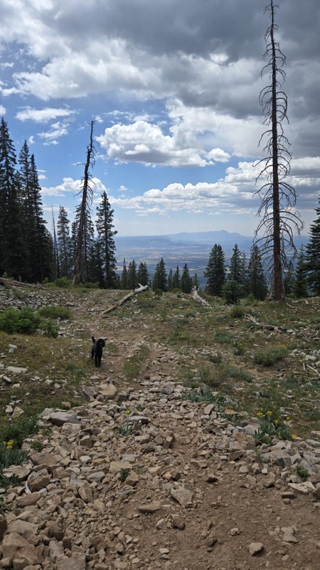 Helmet Peak Trail Review Photo
