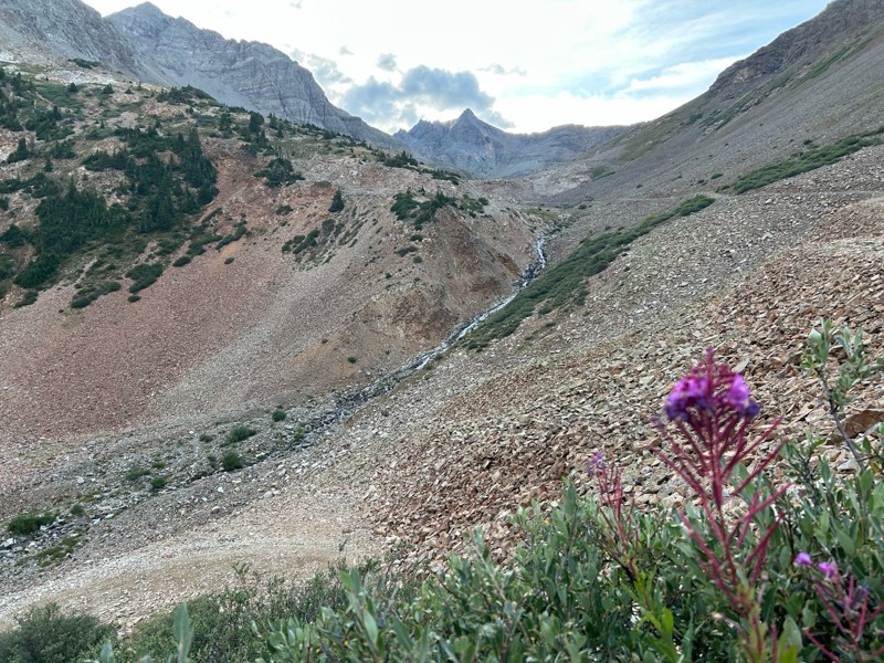 Montezuma Basin Trail Review Photo