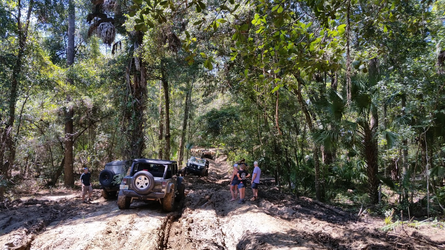 Citrus - Trail 8 - Best Trails