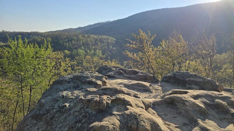 Windrock 51: Panther Rock Trail Review Photo