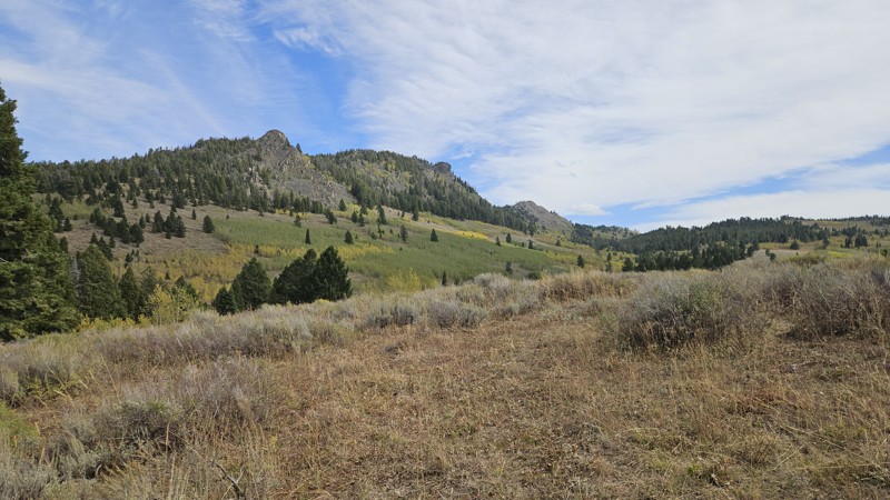 Lone Tree Pass Trail Review Photo