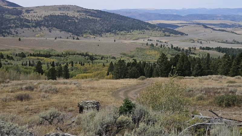Lone Tree Pass Trail Review Photo