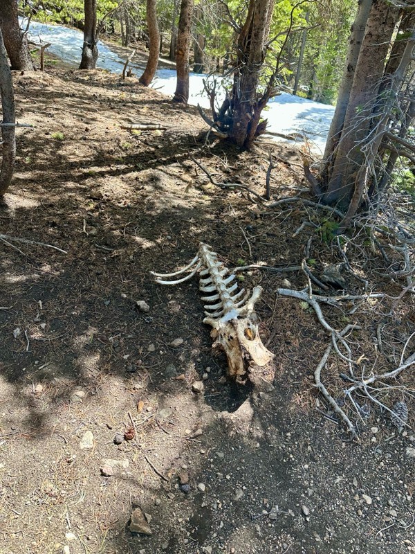 Moon Gulch Trail Review Photo