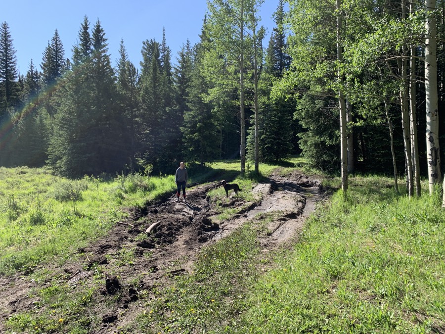 Trail Review: Moon Gulch - Robert Johnson