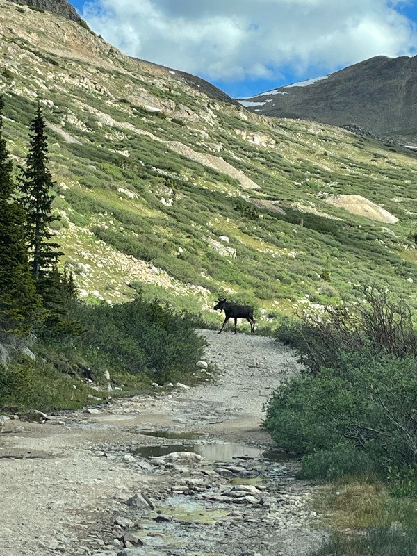 Mosquito Pass Trail Review Photo