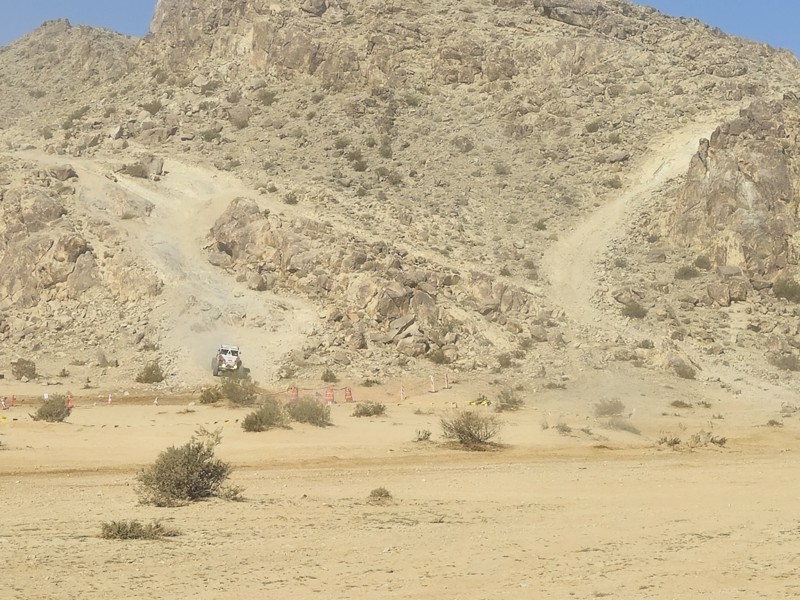 Short Bus Trail Review Photo