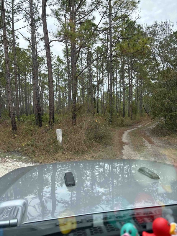 Richloam Boggy Road Trail Review Photo