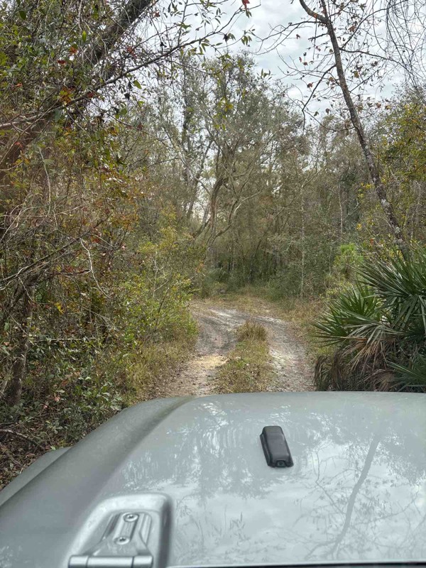 Richloam Boggy Road Trail Review Photo