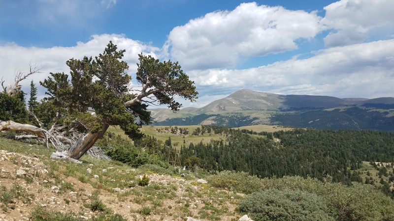 Colorado: Mount Bross Hero Photo