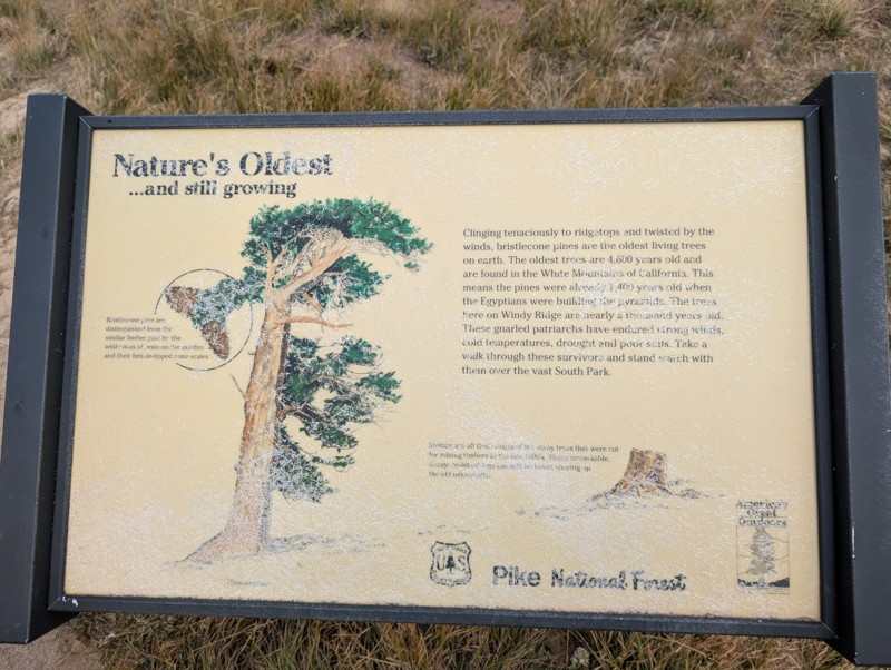 Mount Bross Trail Review Photo