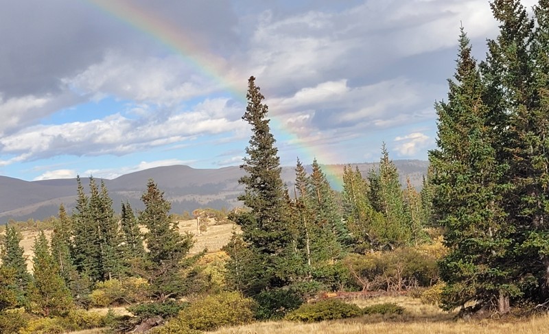 Mount Bross Trail Review Photo