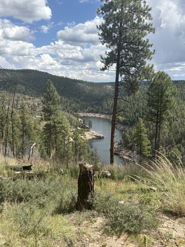 Battleground Ridge Trail Review Photo