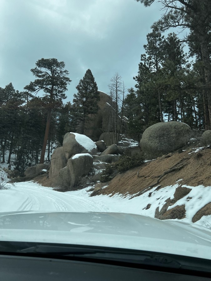 Trail Review: Mount Herman Road - Carley