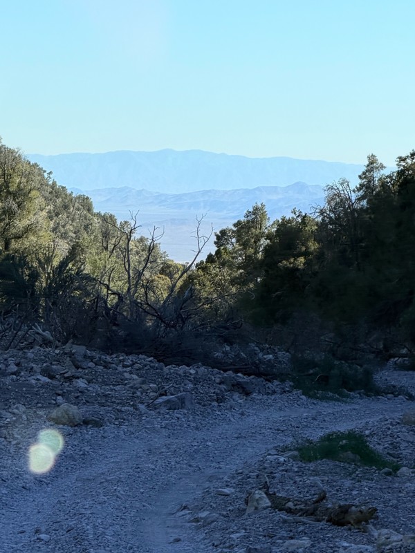Carpenter Canyon Trail Review Photo