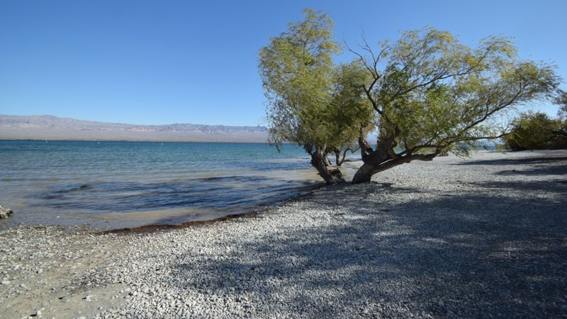 Nevada: Six Mile Wash  Hero Photo