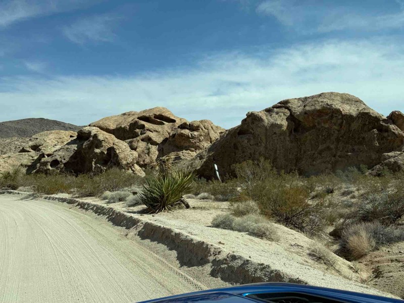 Christmas Tree Pass Trail Review Photo