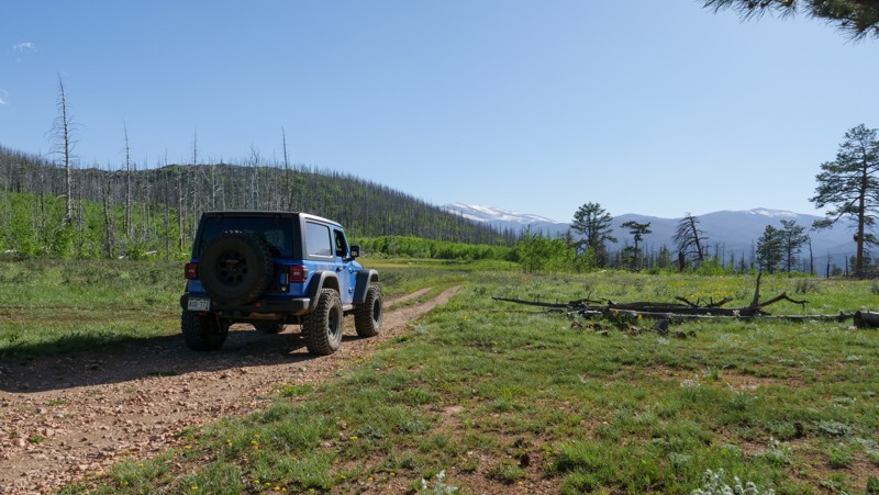 Colorado: Old Flowers Road Hero Photo