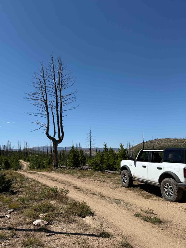 Old Flowers Road Trail Review Photo