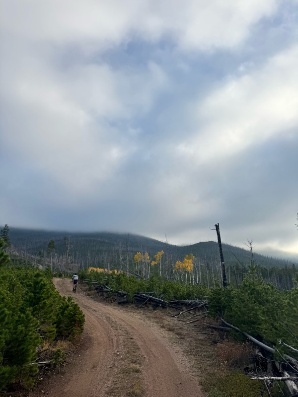 Old Flowers Road Trail Review Photo
