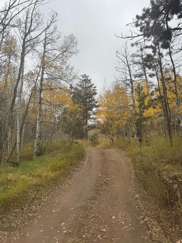 Old Flowers Road Trail Review Photo