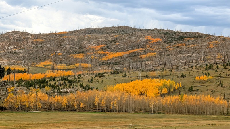 Old Flowers Road Trail Review Photo