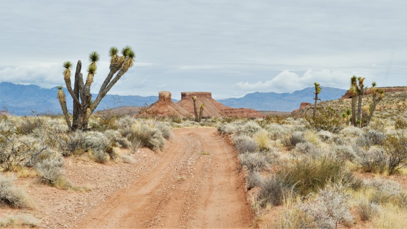 Nevada: Flat Top Mesa  Hero Photo
