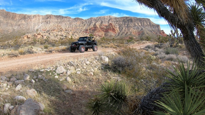 Arizona: Cedar Pocket  Hero Photo
