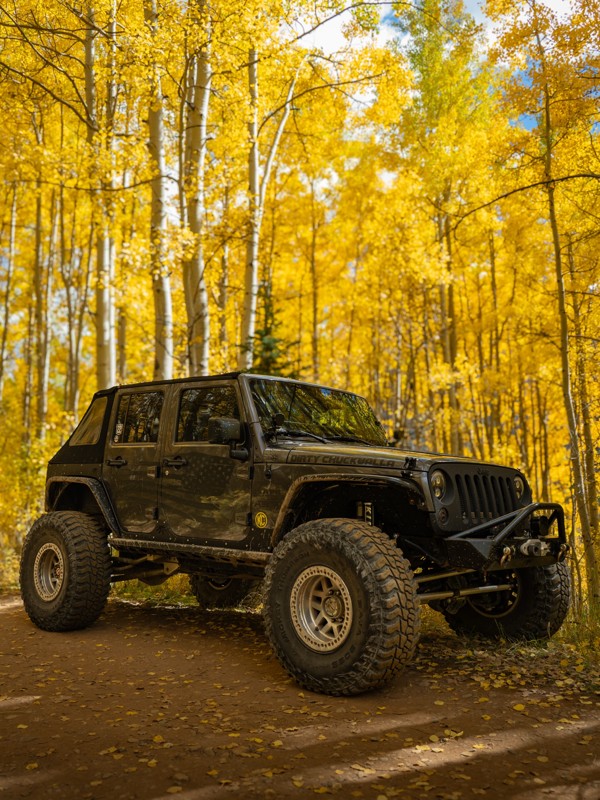 Ophir Pass Trail Review Photo