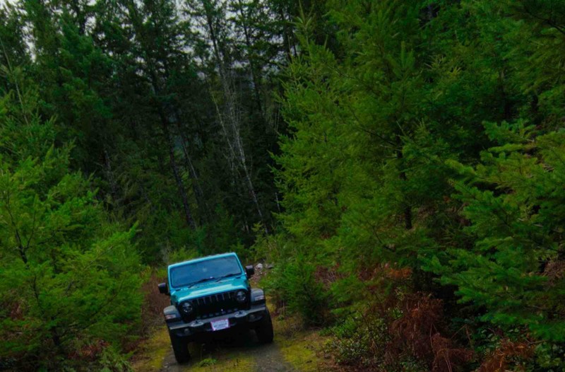 North Fork Snoqualmie Road Trail Review Photo