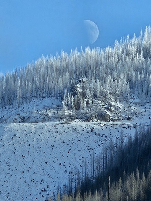 North Fork Snoqualmie Road Trail Review Photo