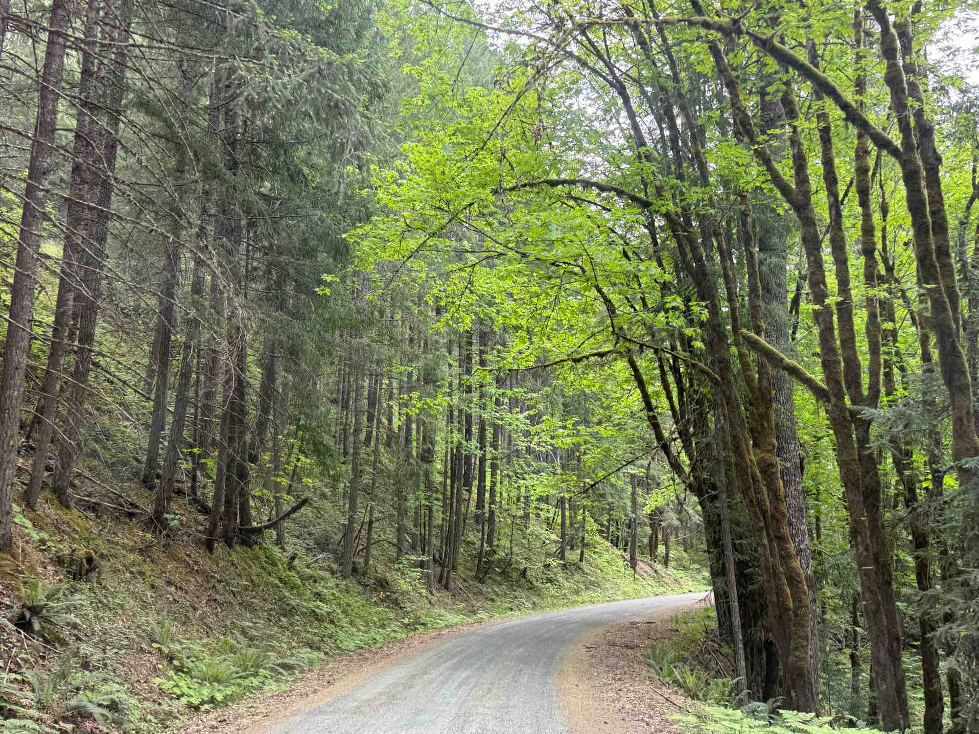 NF-21 Connector, Washington | GPS Map, Photos & Reviews