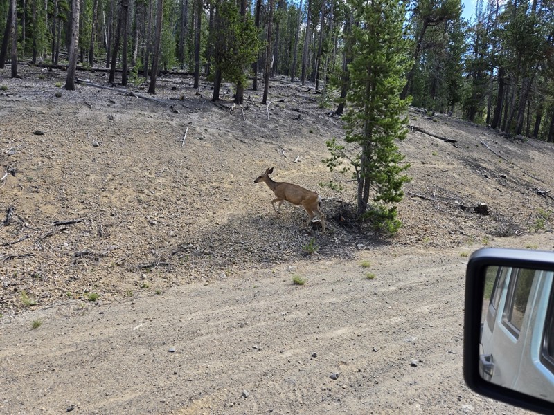 North Paulina Road Trail Review Photo