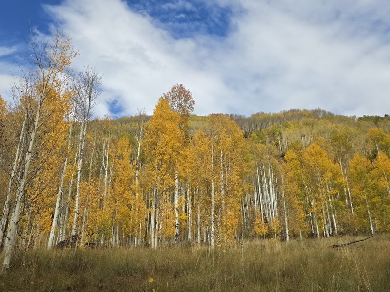 Pearl Pass Trail Review Photo