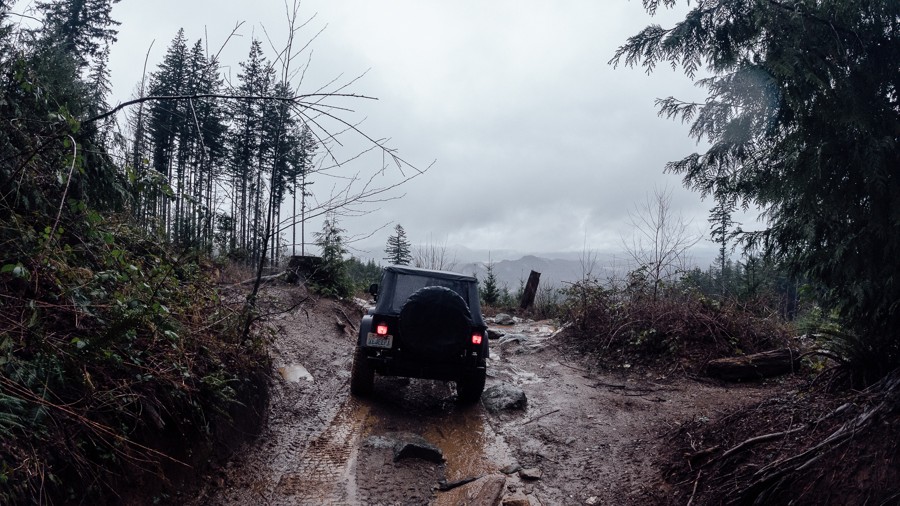 Timber Tamer Trail Review Photo