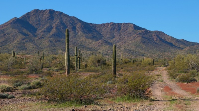 Arizona: Arva Caliente Hero Photo