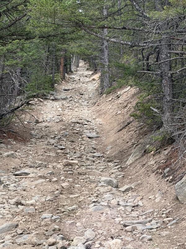 Pennsylvania Gulch Trail Review Photo