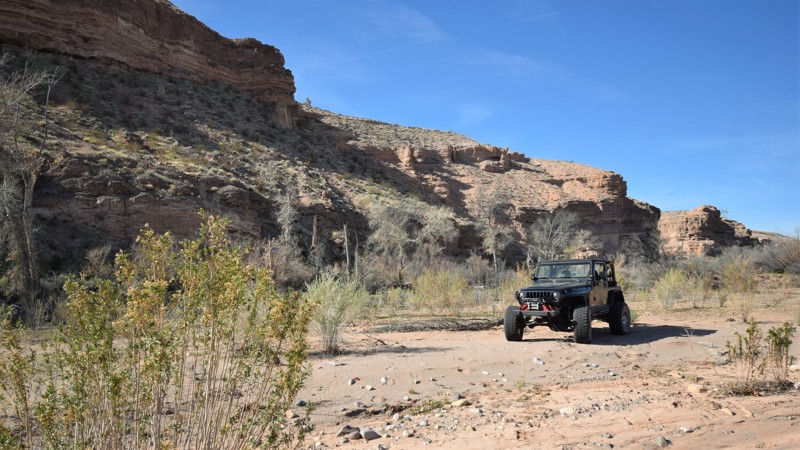 Arizona: Beaver Dam Wash Hero Photo