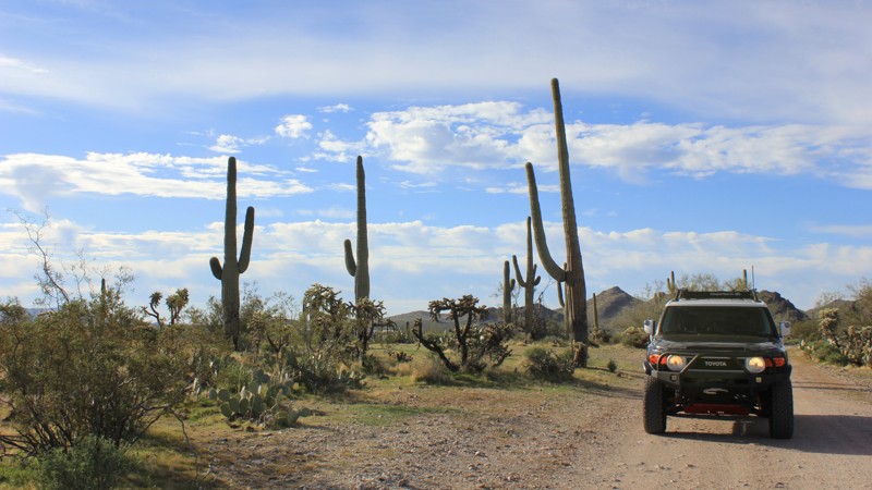 Arizona: Whitlow Canyon Hero Photo