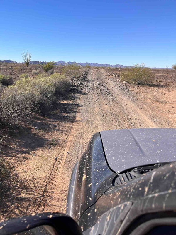 El Camino del Diablo Trail Review Photo