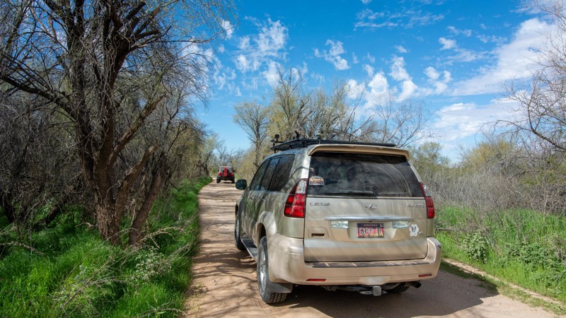 El Camino del Diablo - Waypoint 19: Tree Tunnel - Continue Straight