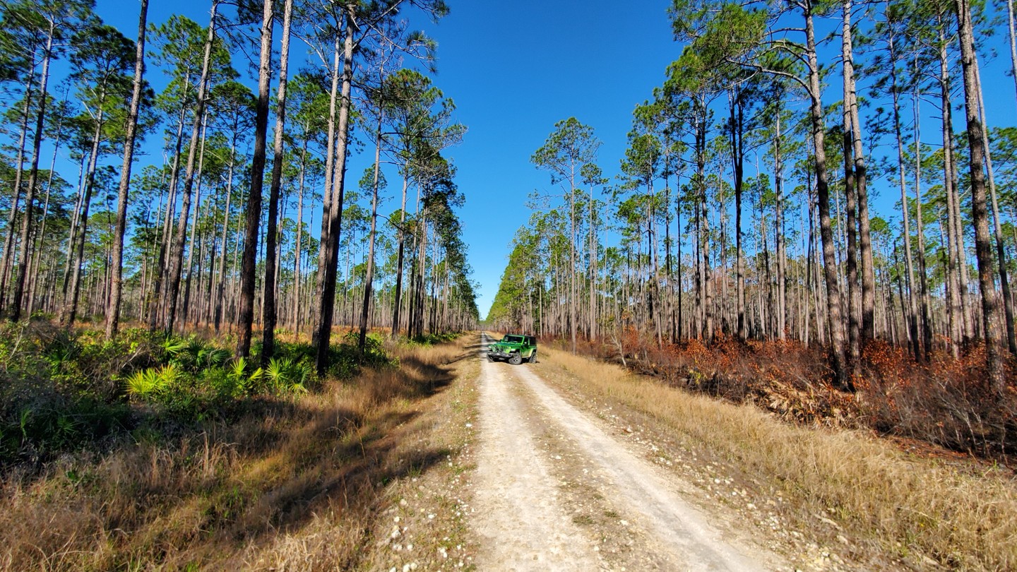 Osceola FR216 Florida Offroad Trail