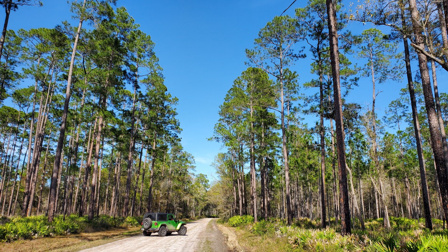 Osceola FR232 Florida Offroad Trail