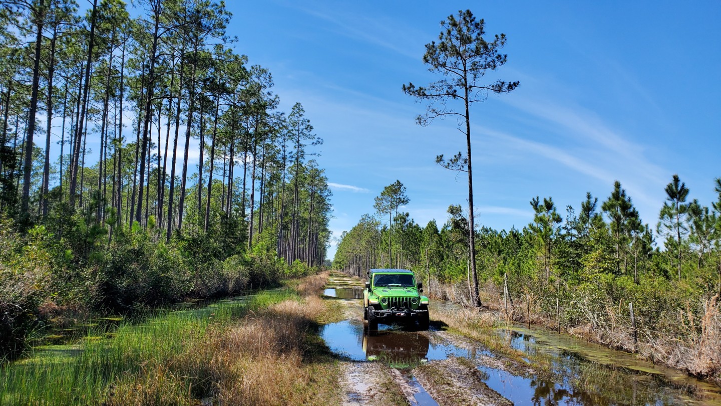 Osceola FR237 Florida Offroad Trail