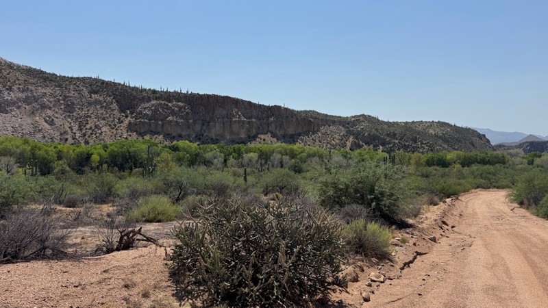 FR 87 Trail Review Photo
