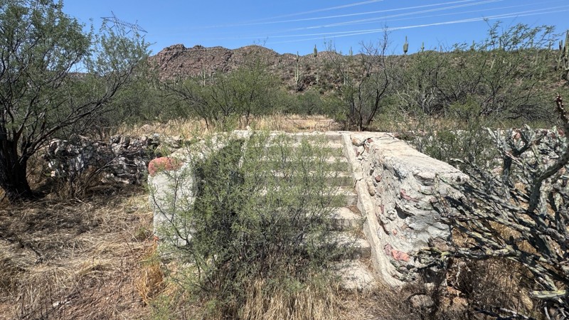 FR 87 Trail Review Photo